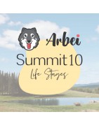 Summit 10